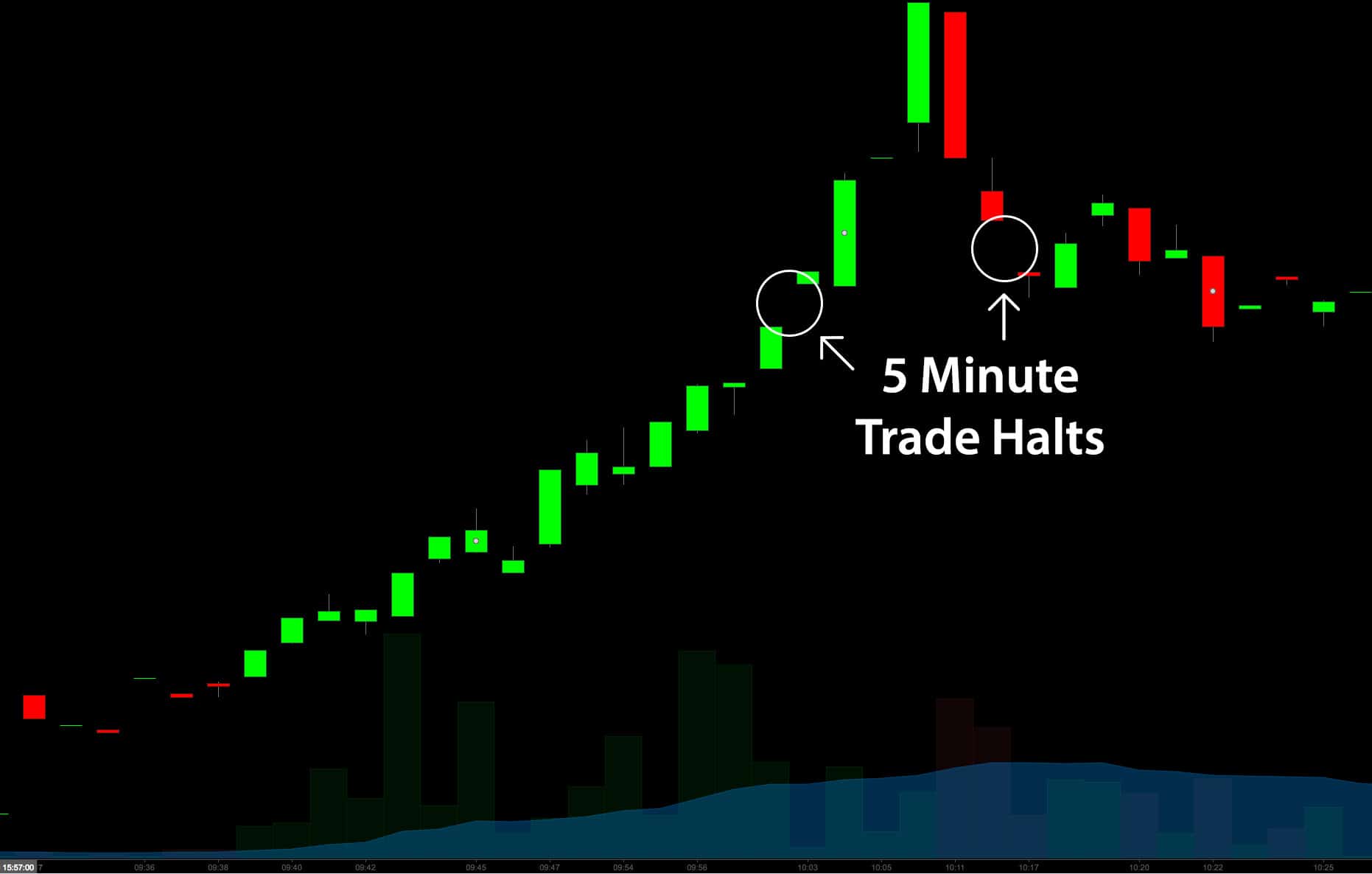 trade halt chart