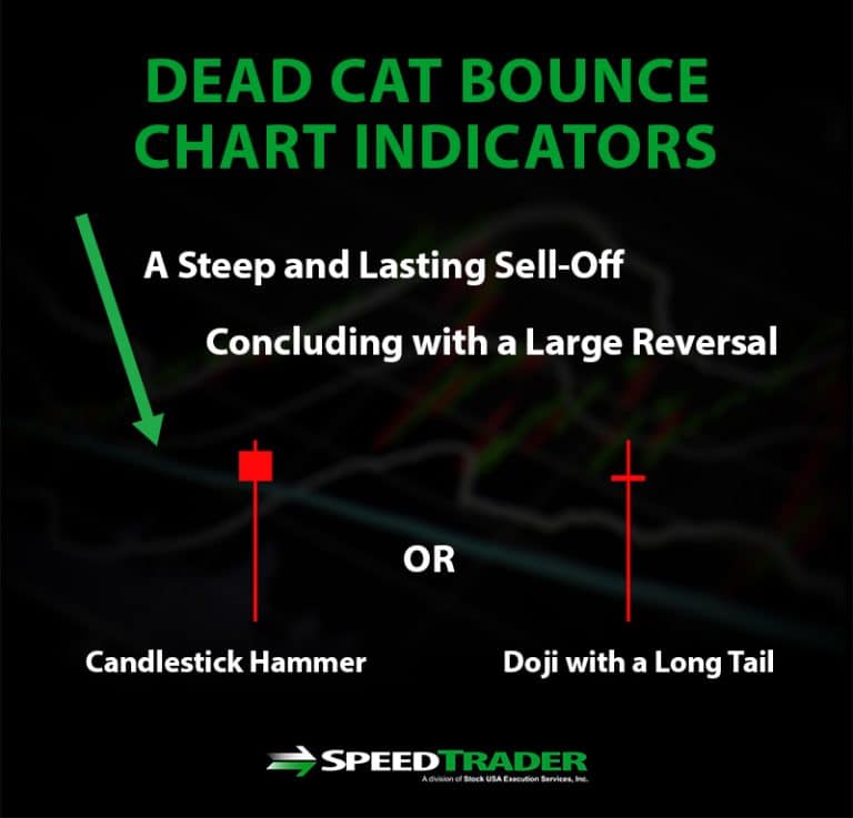 What is a Dead Cat Bounce? Definition, Explanation, and Trading Guide