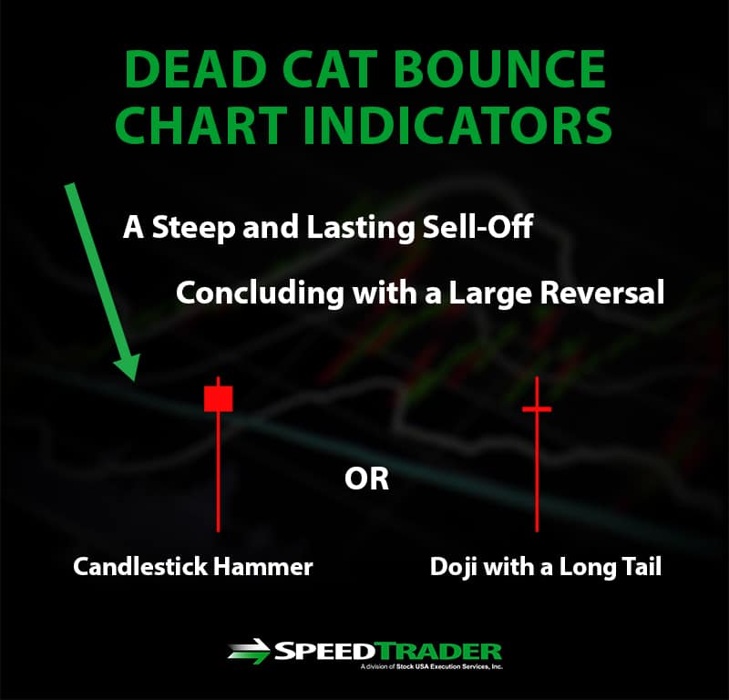 Dead Cat Bounce Indicators