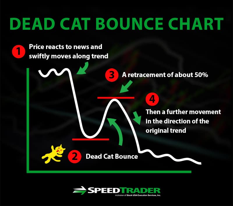 Dead Cat Bounce Chart