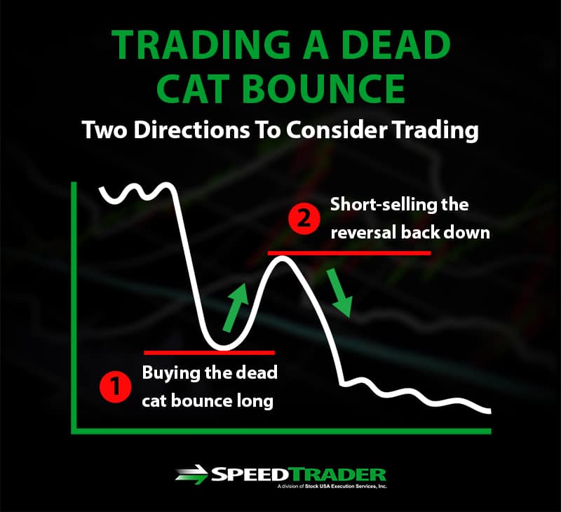 Trading a Dead Cat Bounce