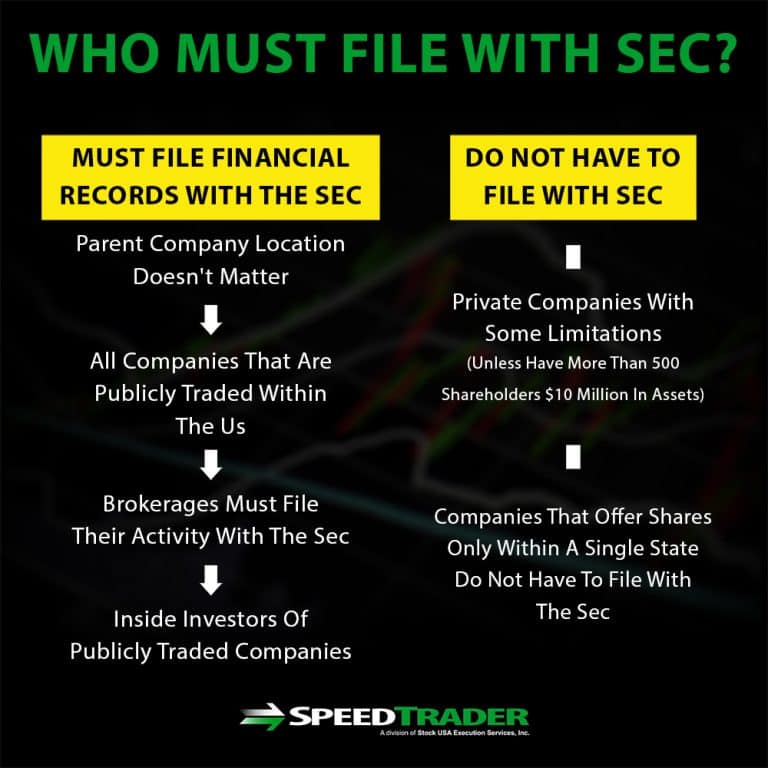 SEC Filings Introduction - What You Need To Know